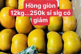 Hồng giòn 