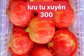 Lựu tứ xuyên