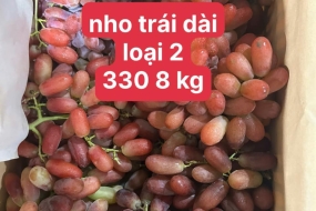 Nho trái dài 