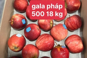 Táo gala Pháp 