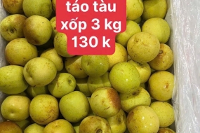 Táo tàu 
